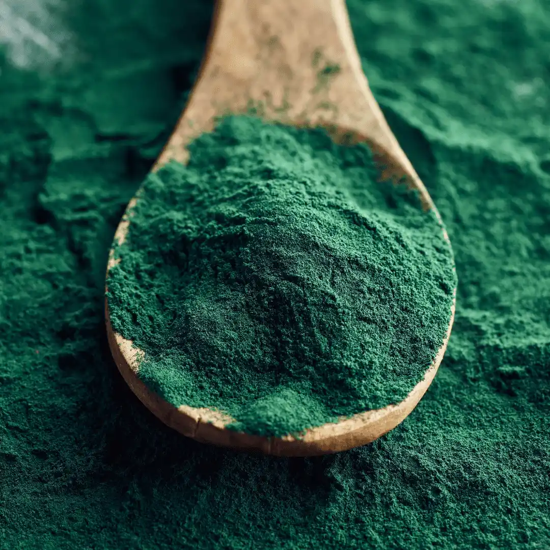 Spiruline en poudre, pure et naturelle, produite par La Vie en Bleu